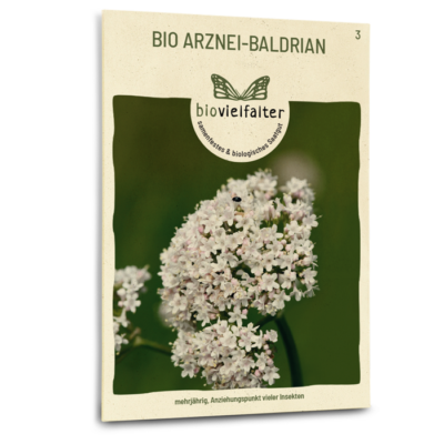 samen-maier-bio-arznei-baldrian-samen-heil-und-duftstaude image 3