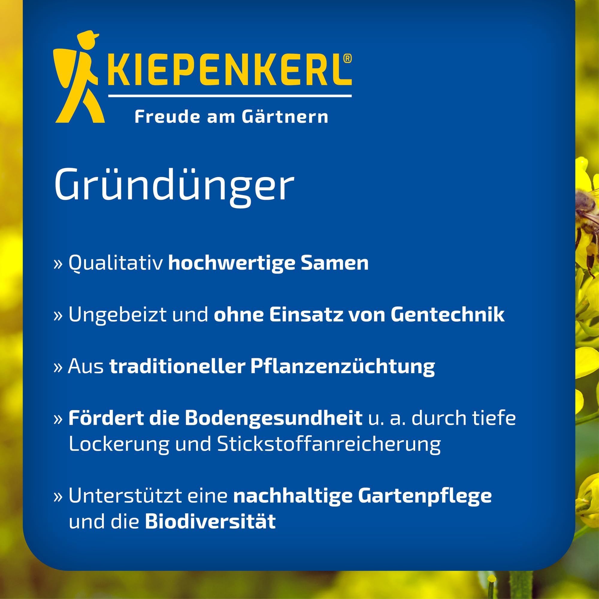 kiepenkerl-phaceliasamen-bienenfreund-1074350-gr-nd-ngungssaat image 3