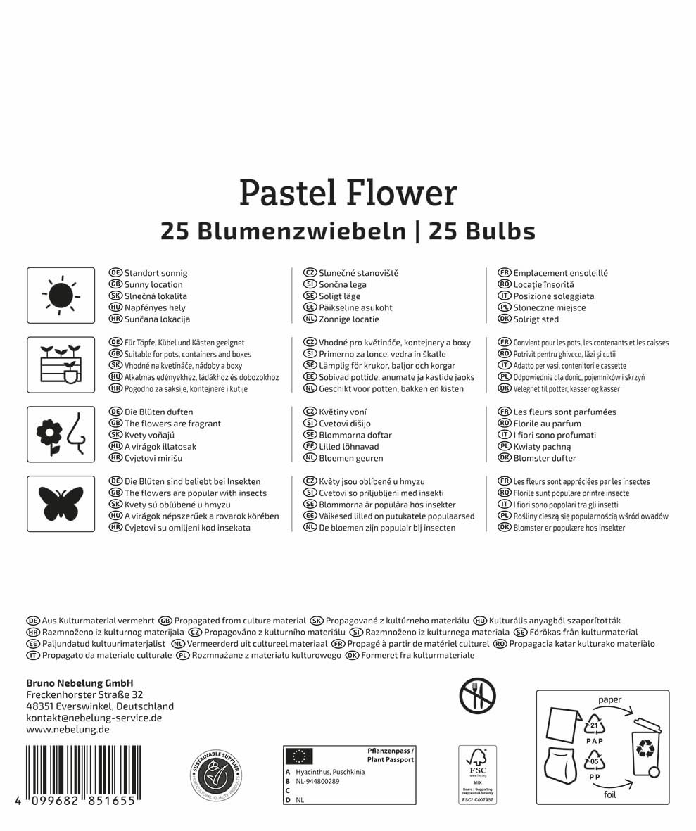 kiepenkerl-mega-pack-blumenzwiebelmischung-pastel-flower-2875027-hyazinthen-pusc image 2