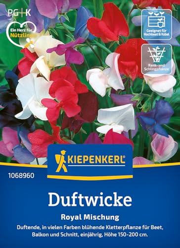 kiepenkerl-duftwicke-royal-mischung-blumensaatgut image 6