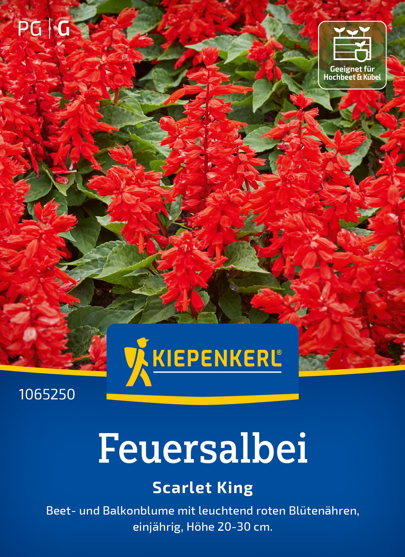 kiepenkerl-malvensamen-zebrina-1063500-blumensaat image 6