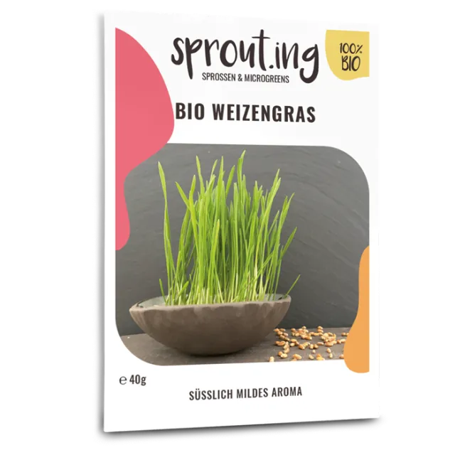samen-maier-bio-sprossen-microgreens-weizengras image 1