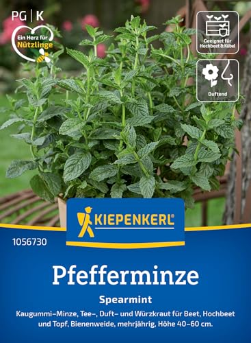 kiepenkerl-pfefferminze-spearmint-1056730-kr-utersamen image 7