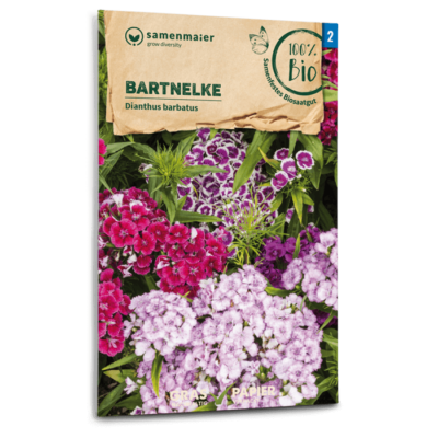 samen-maier-bio-bartnelke-saatgut-40-60-cm image 3
