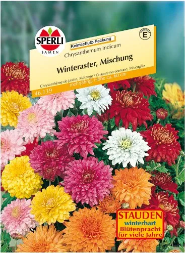 sperli-winterastern-sperling-s-fiambre-mischung-blumensamen image 1