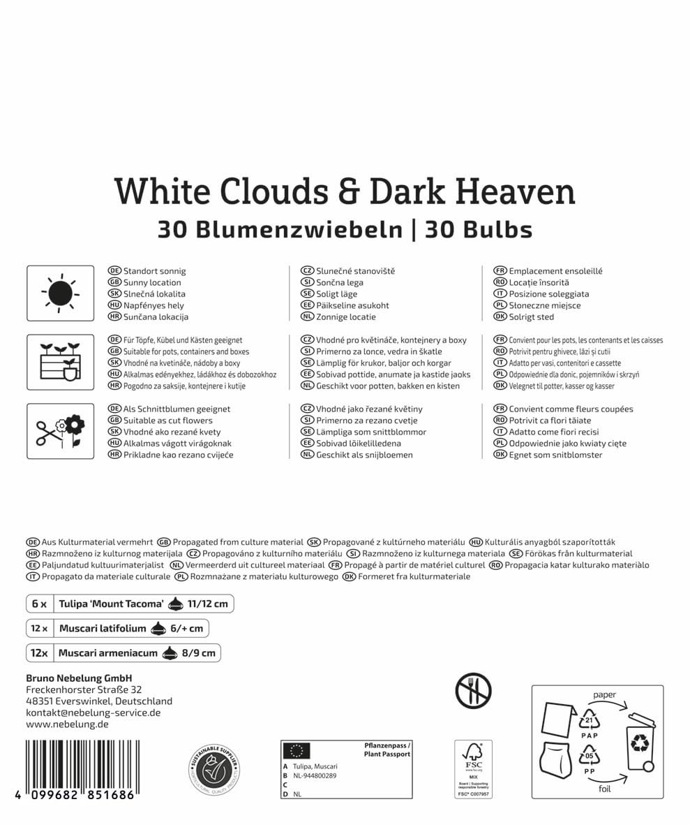 kiepenkerl-mega-pack-blumenzwiebelmischung-white-cloud-dark-heaven-mix-2875030 image 2