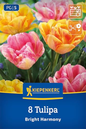 kiepenkerl-tulpenmischung-bright-harmony-blumenzwiebeln image 7