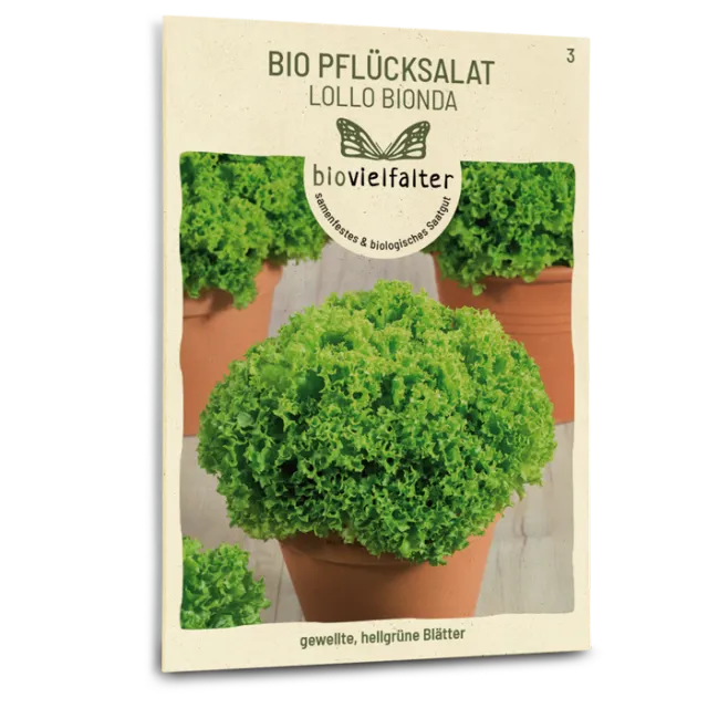 samen-maier-bio-pfl-cksalat-lollo-bionda-saatgut-f-r-folgesaaten image 1
