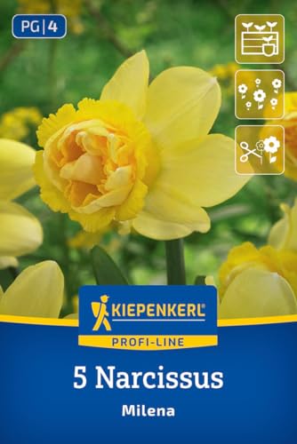 kiepenkerl-profi-line-gef-llte-narzisse-milena-2450004-zartgelb-35-cm-schnitt-na image 7