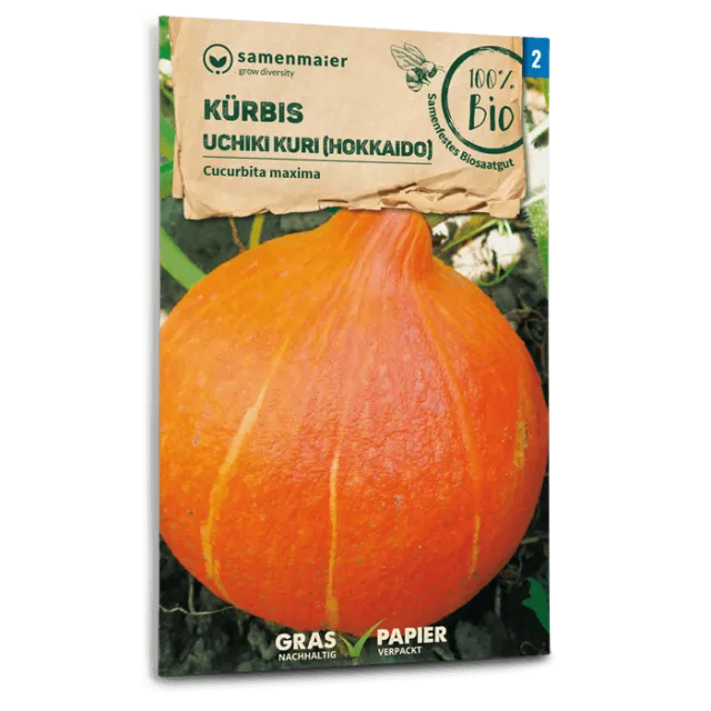 samen-maier-bio-k-rbis-uchiki-kuri-hokkaido-saatgut image 1