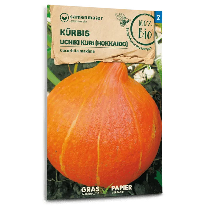 samen-maier-bio-k-rbis-uchiki-kuri-hokkaido-saatgut image 1