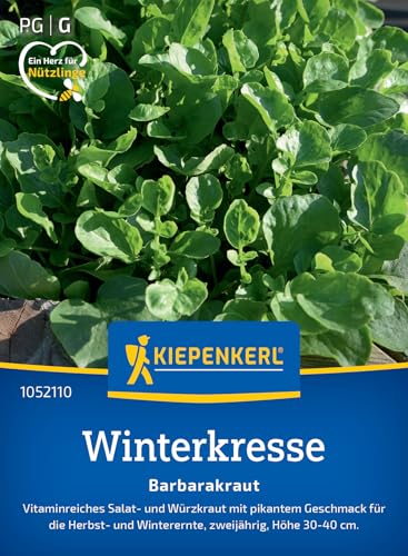 kiepenkerl-profi-line-winterkressesamen-barbarakraut-kr-utersaat image 7