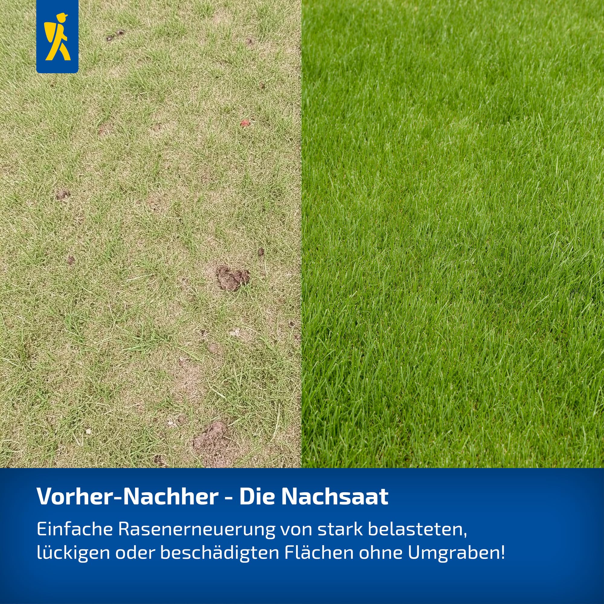 kiepenkerl-1085234-spiel-sportrasen-strapazierf-hige-rasensaat image 6