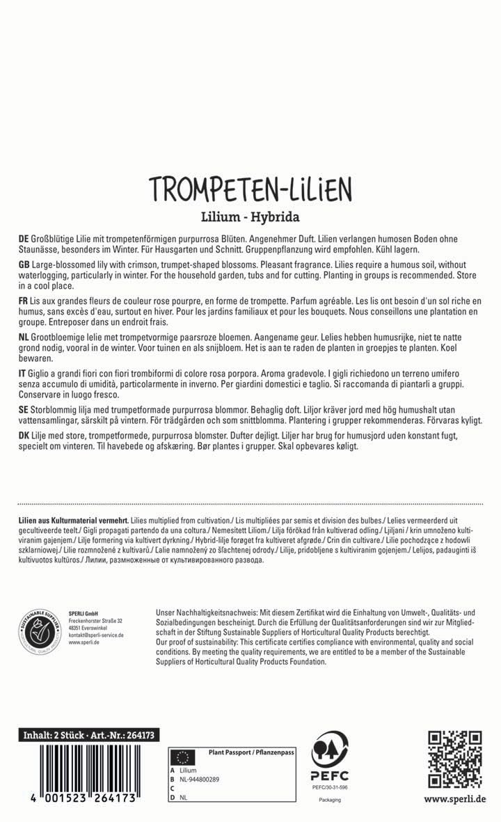 sperli-lilie-pink-perfection-264173-trompeten-lilie-winterhart-150-cm image 2