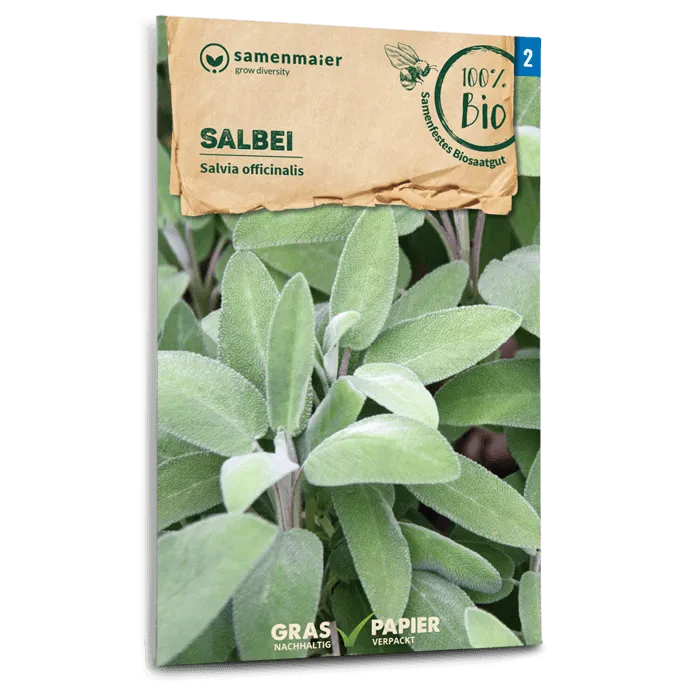 samen-maier-bio-salbei-saatgut image 1