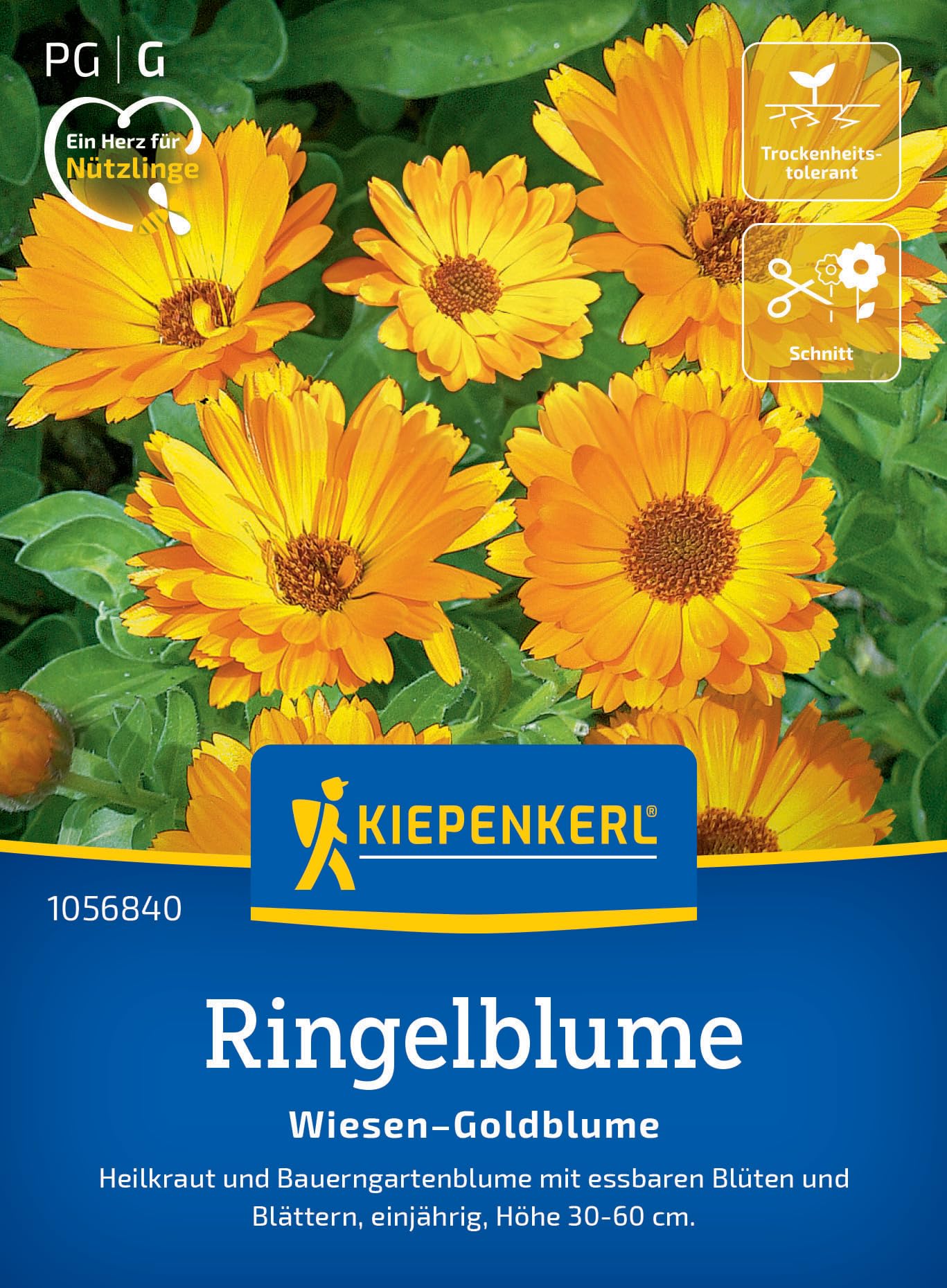 kiepenkerl-schnittknoblauch-neko-1057940-kr-utersaat image 7