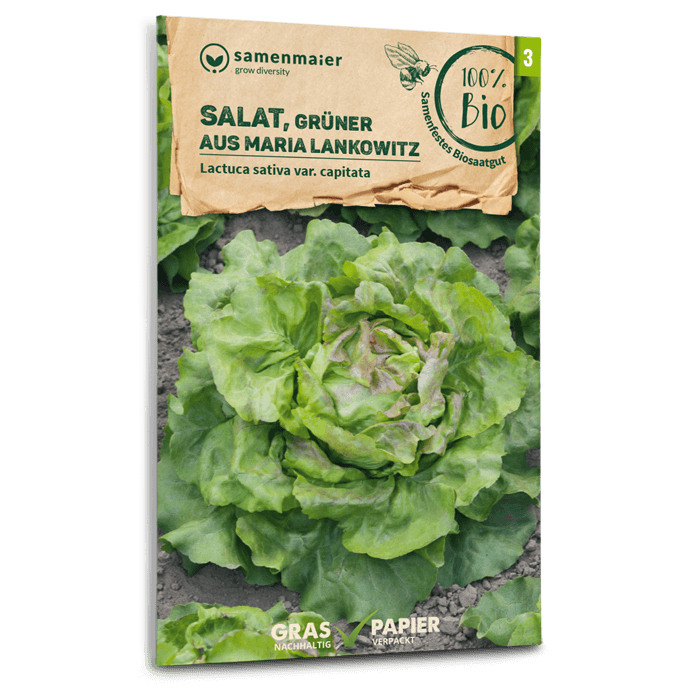 samen-maier-bio-salat-gr-ner-aus-maria-lankowitz-kopfsalat-samen image 1