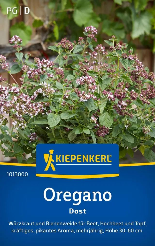 kiepenkerl-oreganosamen-dost-1013000-kr-utersaat image 1