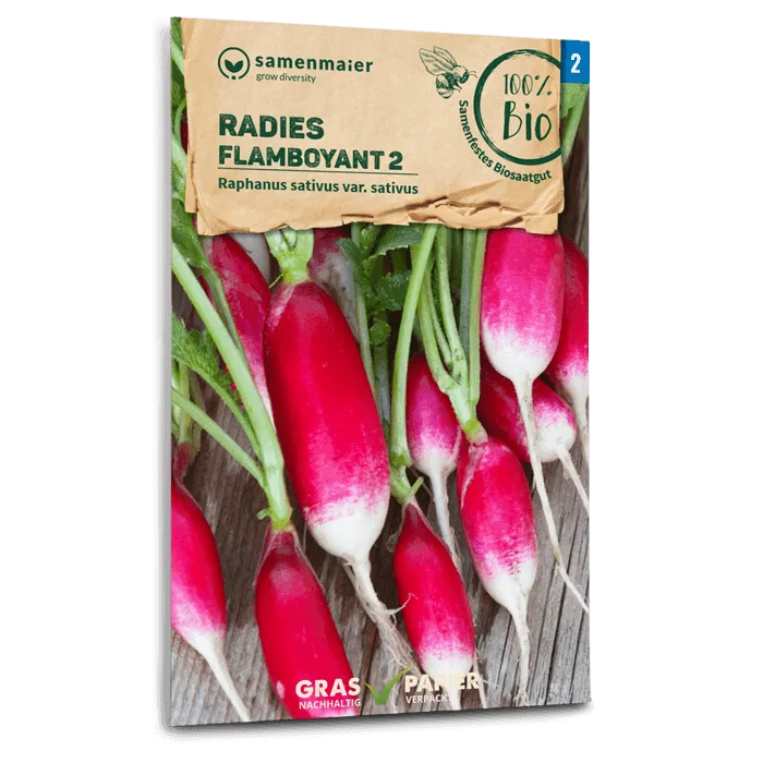 samen-maier-bio-radieschen-flamboyant-2-l-nglich-rot-wei image 1