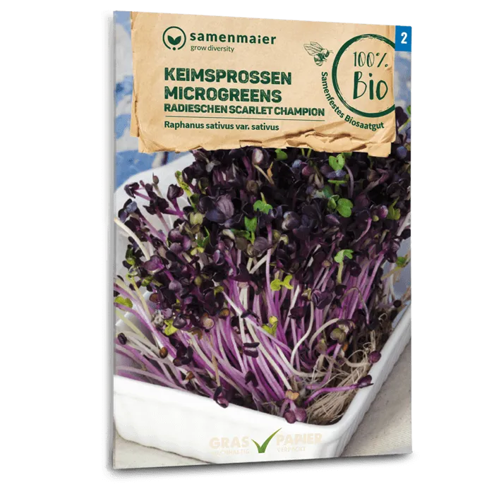 samen-maier-bio-keimsprossen-radieschen-scarlet-champion-microgreens image 1