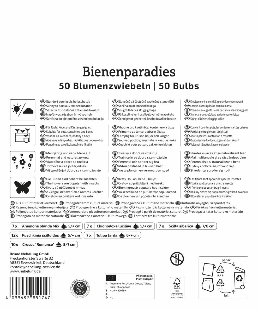 kiepenkerl-mega-pack-bienenparadies-50-blumenzwiebeln-fr-hlingsbl-her-mix image 2