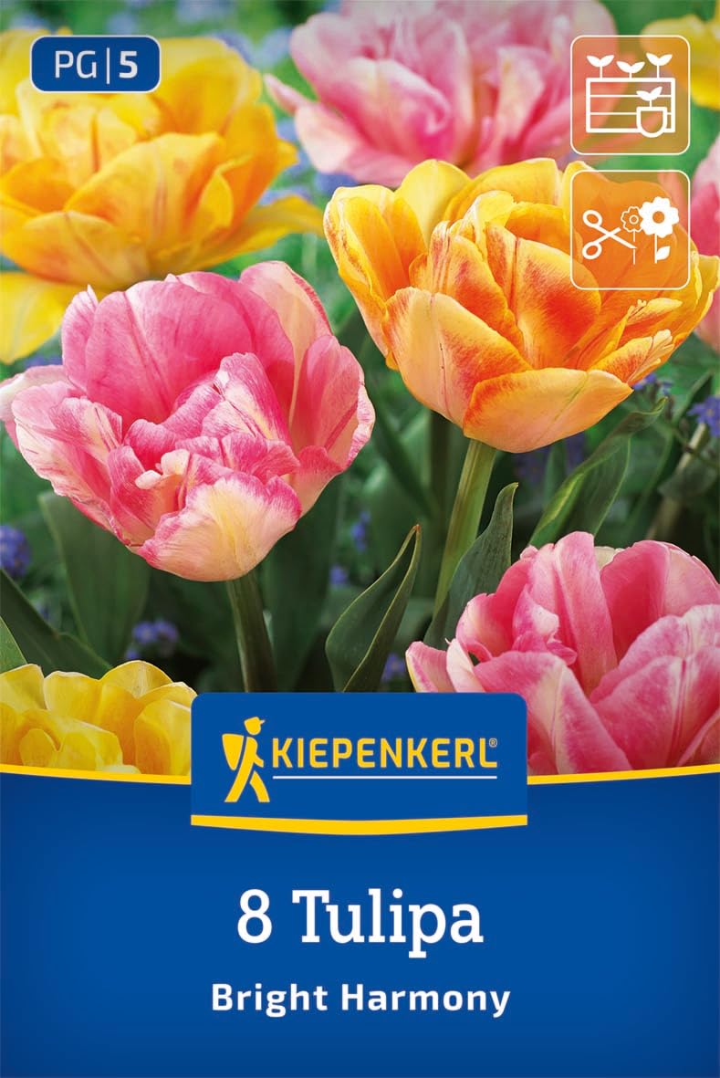 kiepenkerl-tulpenmischung-bright-harmony-blumenzwiebeln image 1