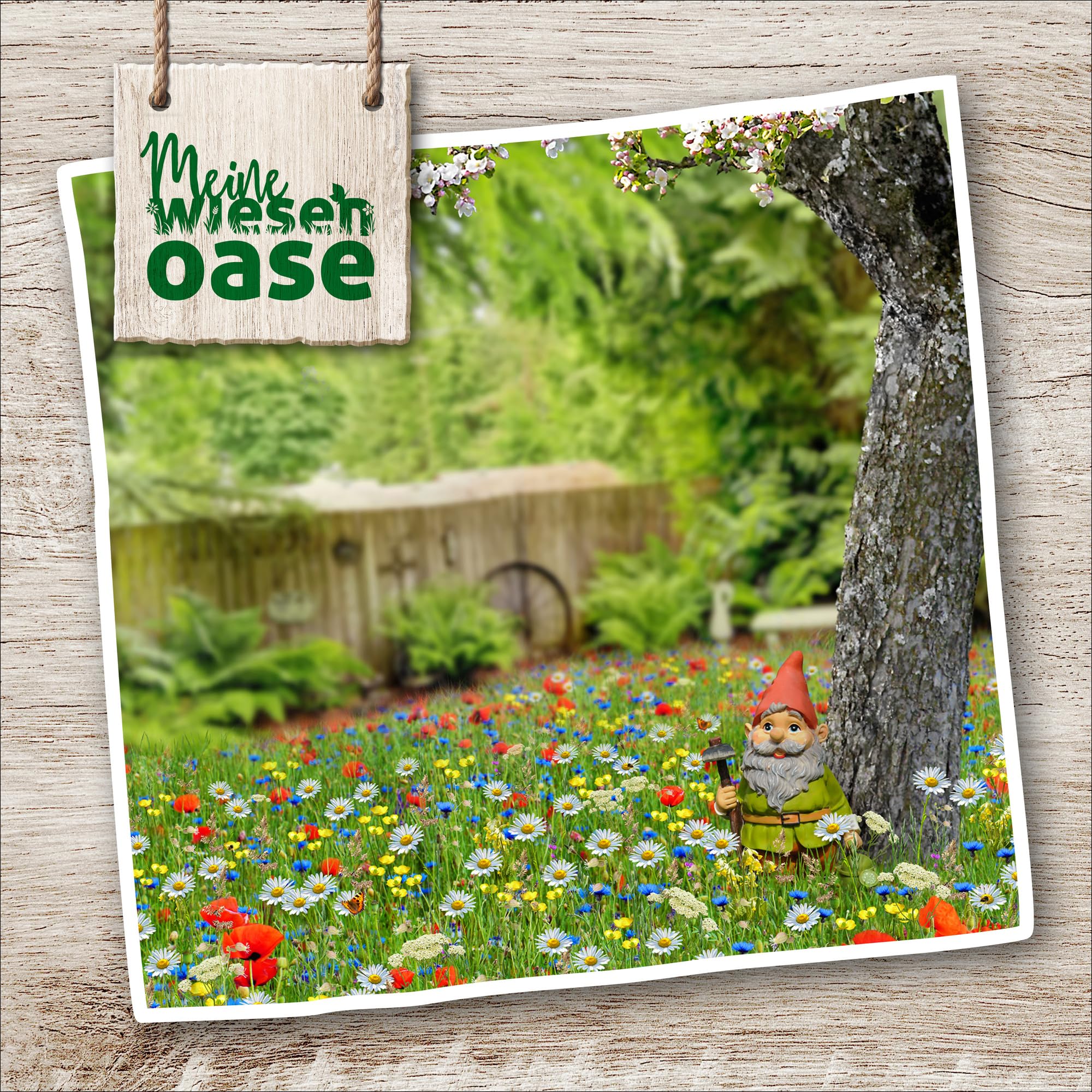 sperli-s-naturwiese-heimische-wildblumen-blumensamen-mischung image 3
