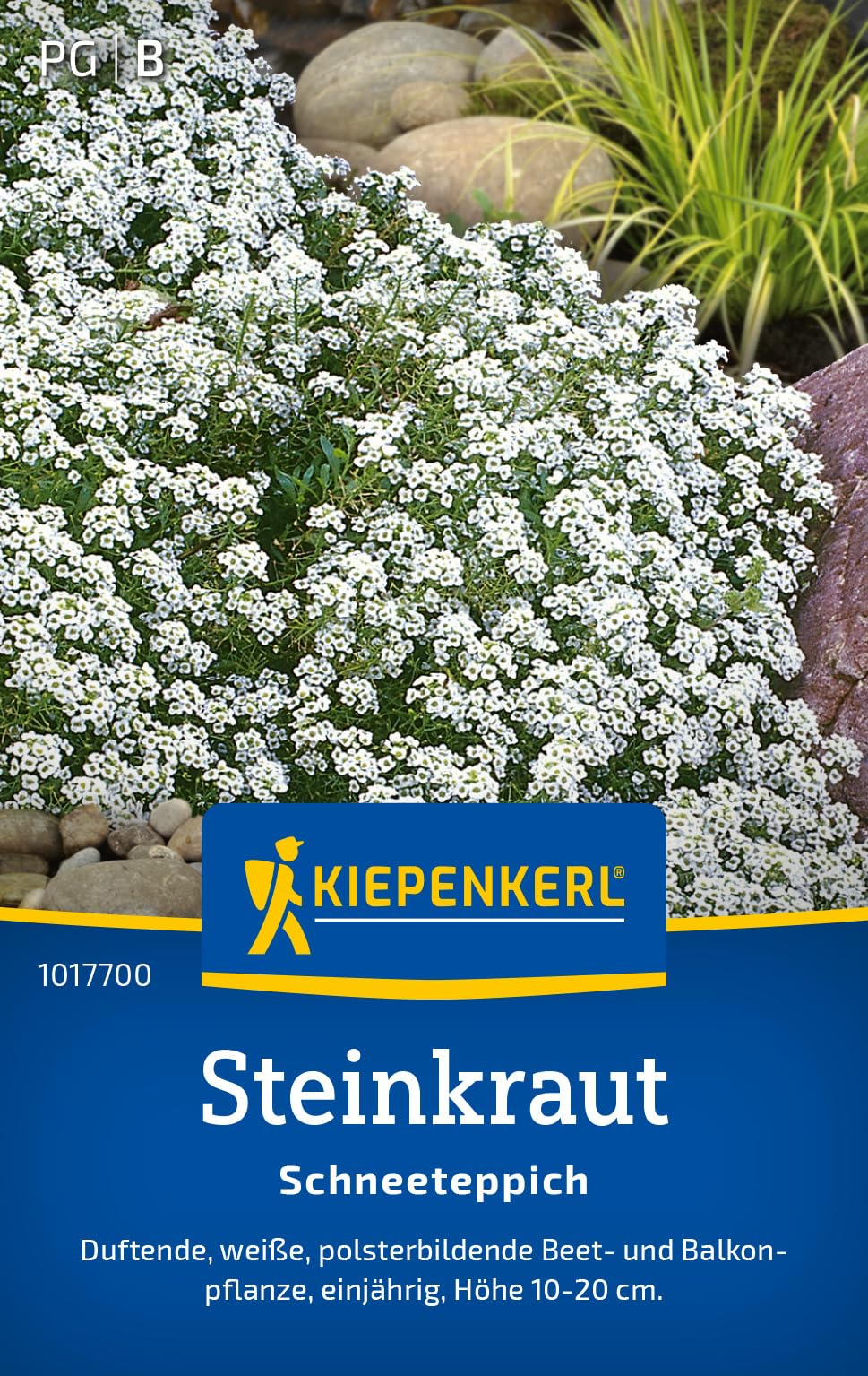 kiepenkerl-l-wenm-ulchen-hohe-schnitt-mischung-blumensamen image 6