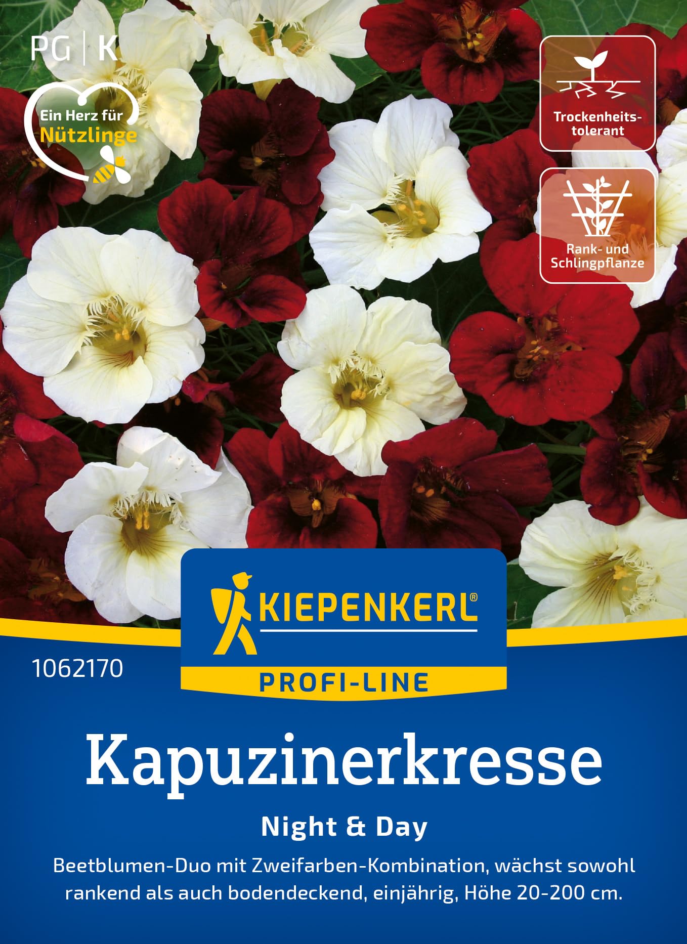 kiepenkerl-klatschmohn-chorus-mischung-1063640-blumensaat image 7