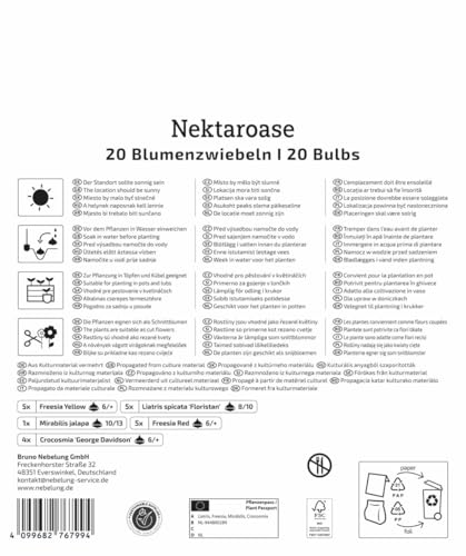 kiepenkerl-mega-pack-blumenzwiebelmischung-nektaroase-bienenmix-juli-oktober image 8