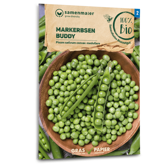 samen-maier-bio-markerbsen-buddy-kompakte-freilandsamen image 1