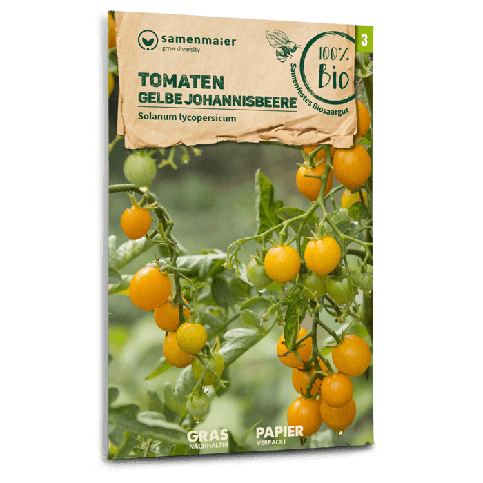 samen-maier-bio-tomaten-gelbe-johannisbeere-tomatensamen image 1