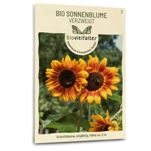 samen-maier-bio-sonnenblume-verzweigt-blumensamen image 1