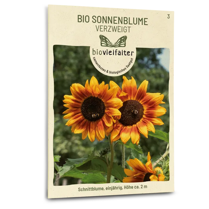 samen-maier-bio-sonnenblume-verzweigt-blumensamen image 1