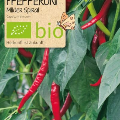 samen-maier-beet-box-frohe-weihnachten-5-bio-gem-sesorten-geschenkset image 7