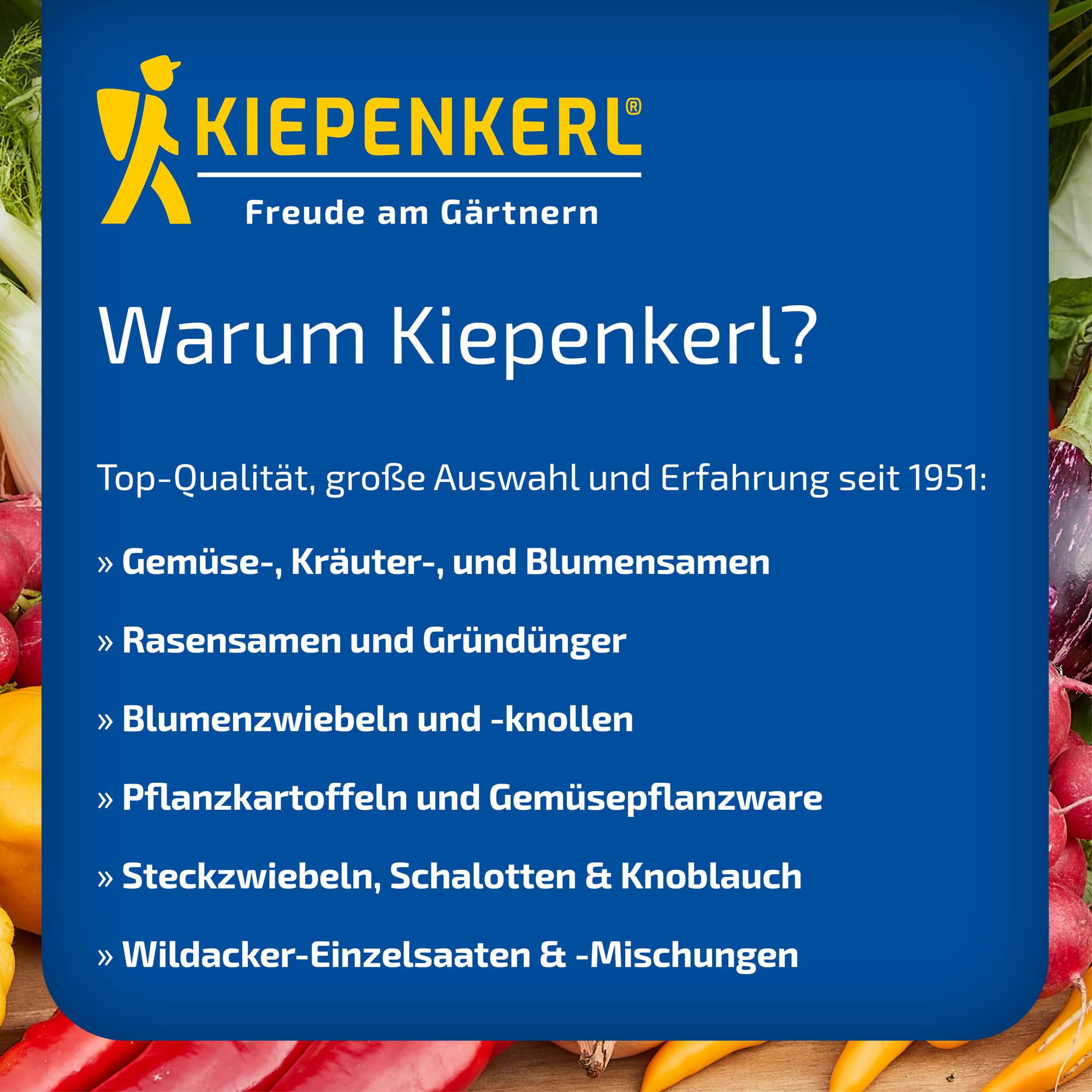 kiepenkerl-1075500-bio-microgreen-saat-rucola-gem-sesaat image 3