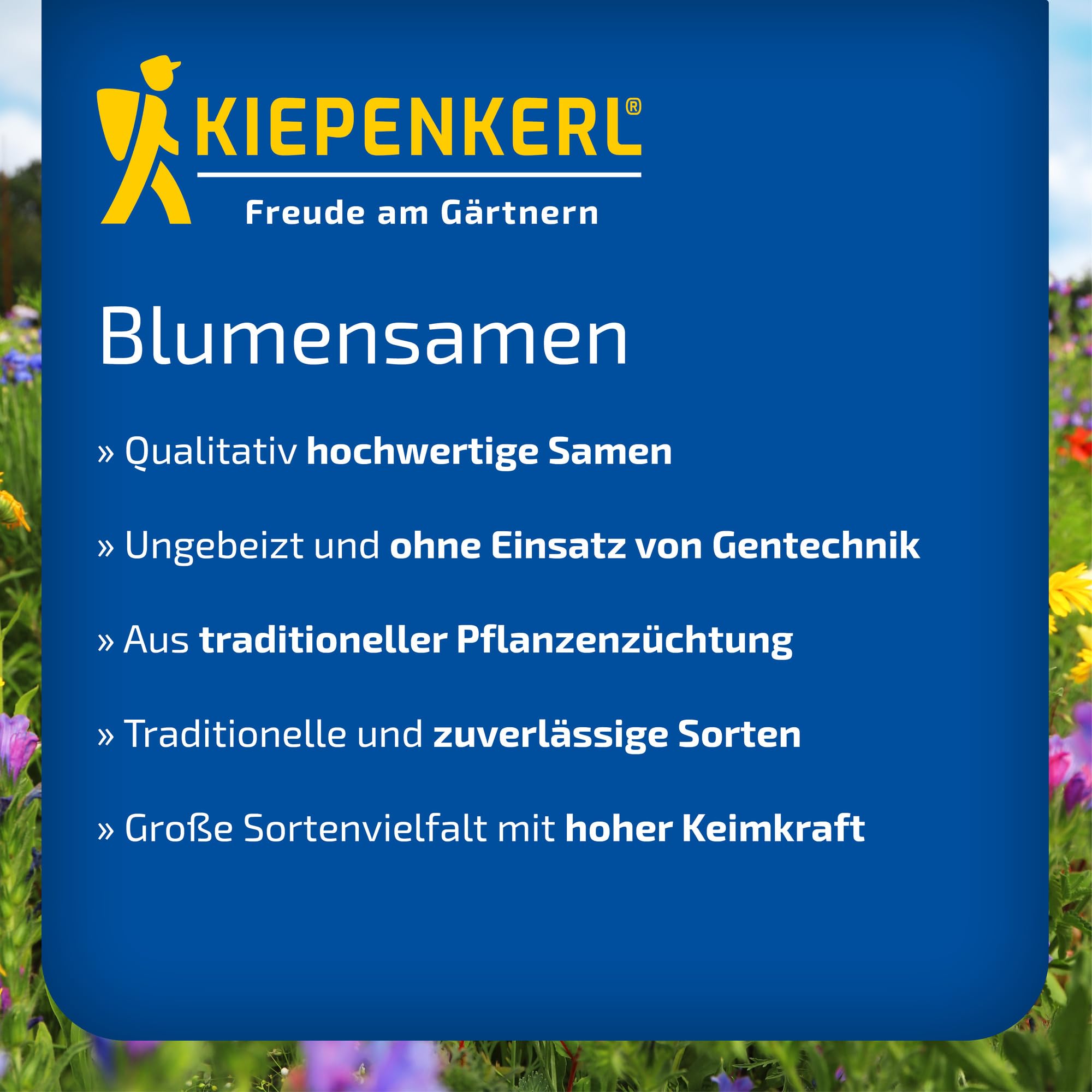 kiepenkerl-blumensamen-mischung-schnittblumen-sommerblumensaat image 6