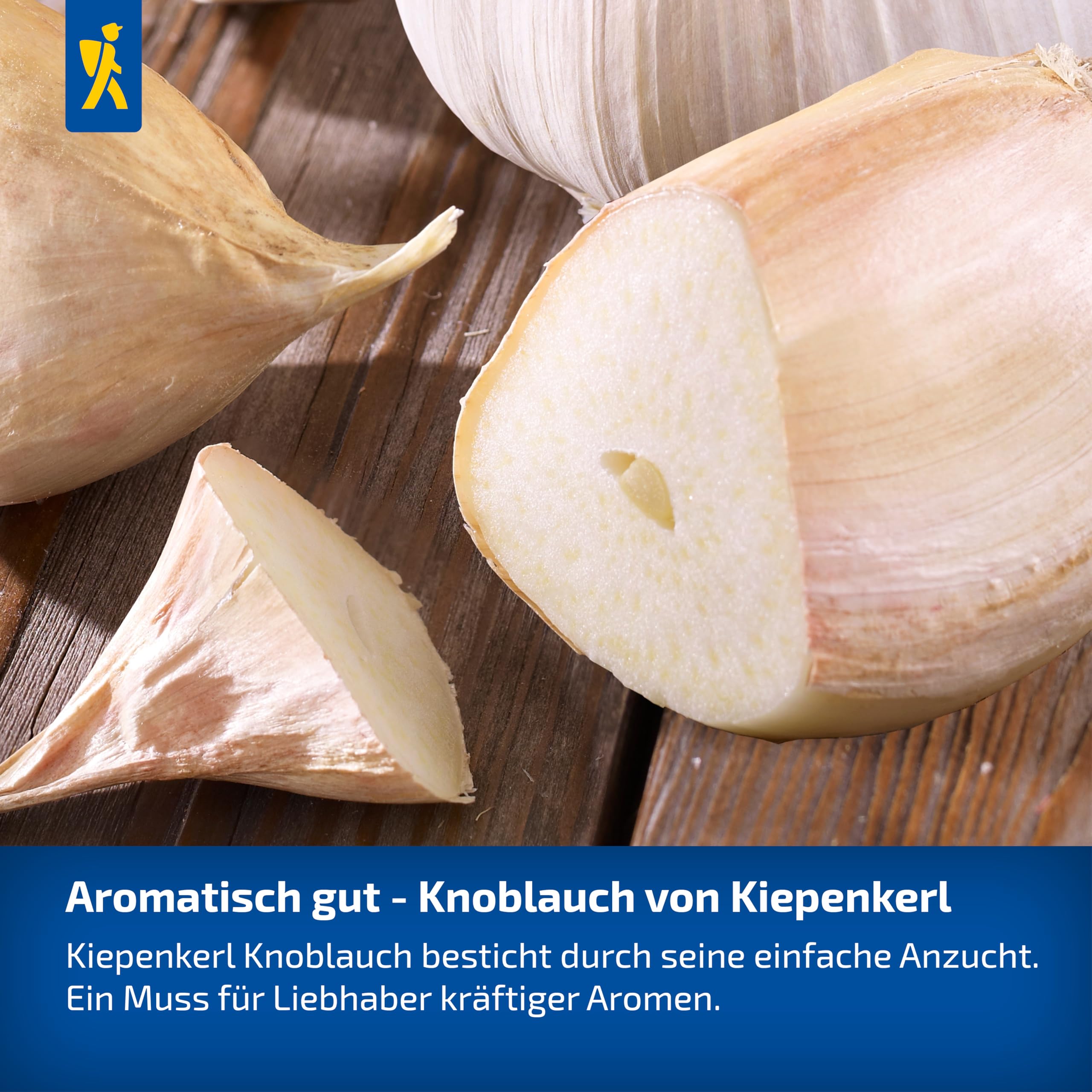 kiepenkerl-profi-line-winterknoblauch-messidrome-pflanzknoblauch-f-r-beet image 4