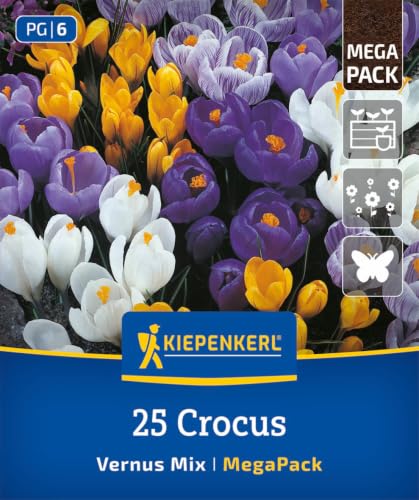 kiepenkerl-gartenkrokus-mischung-2875022-mega-pack-blumenzwiebeln-10-cm image 3
