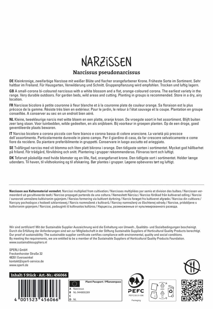 sperli-kleinkronige-narzisse-barrett-browning-wei-orange-m-rz-bl-te image 2