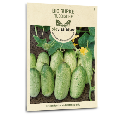 samen-maier-bio-gurke-russische image 3