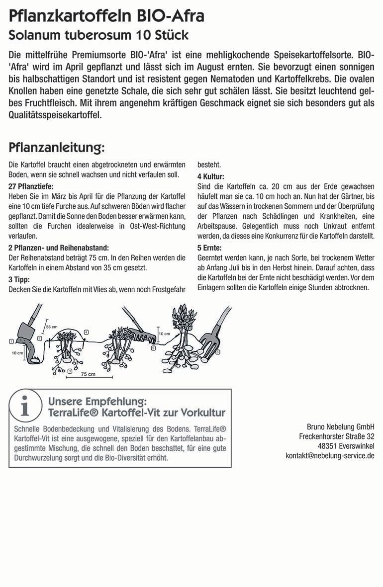 kiepenkerl-bio-pflanzkartoffel-afra-10-st-ck-bio-saatgut image 2