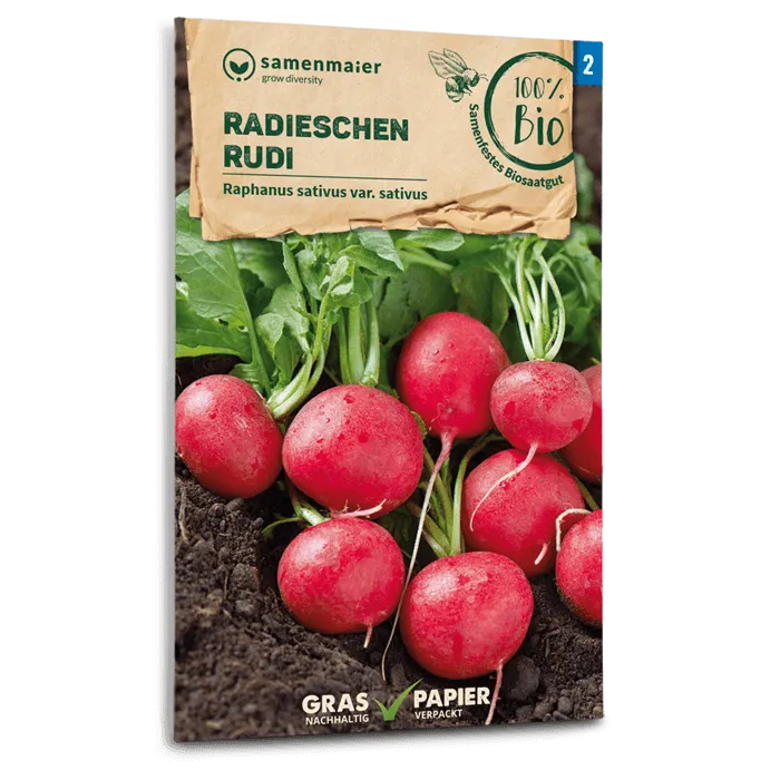samen-maier-bio-radieschen-rudi-saatgut image 1