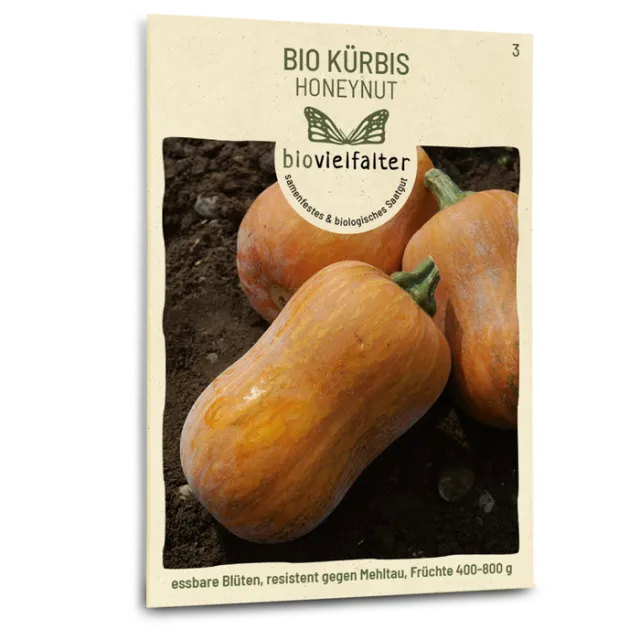 samen-maier-bio-k-rbis-honeynut-butternut-samen image 1