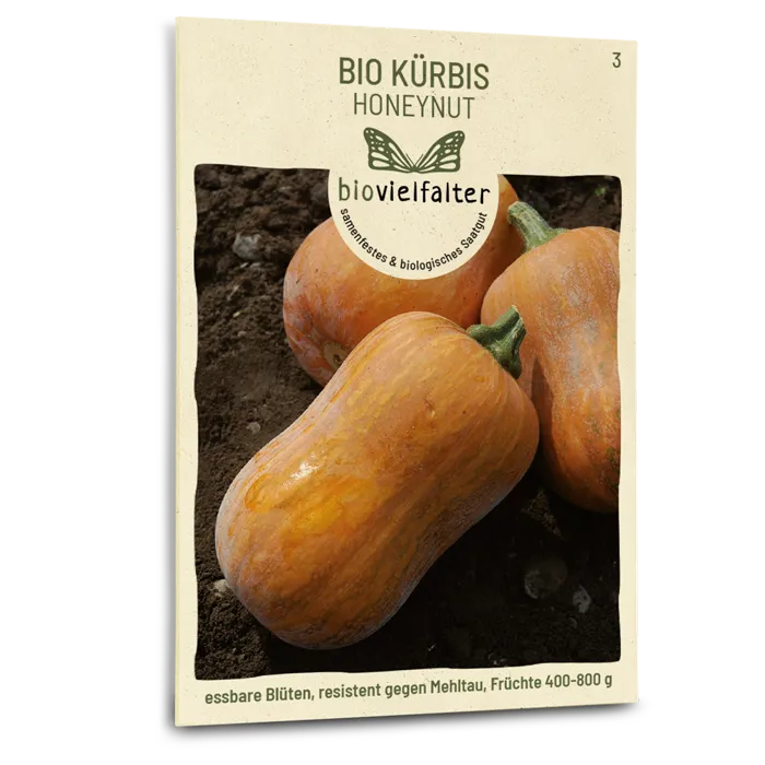 samen-maier-bio-k-rbis-honeynut-butternut-samen image 1