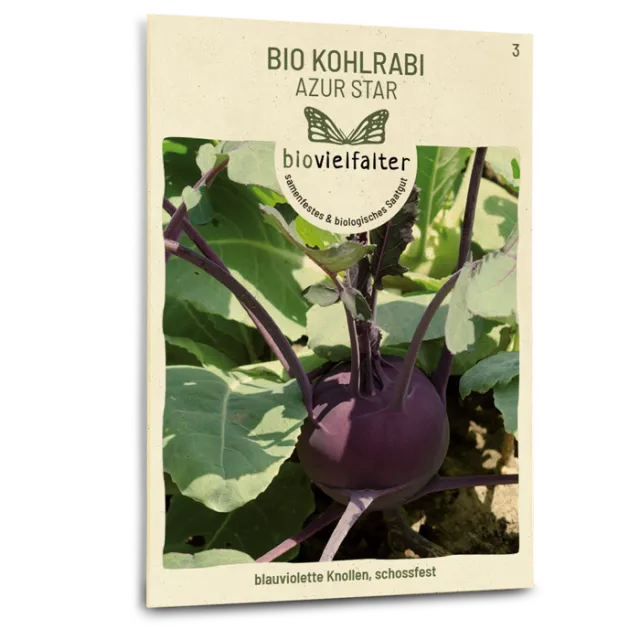 samen-maier-bio-kohlrabi-azur-star-violettes-gem-sesaatgut image 1