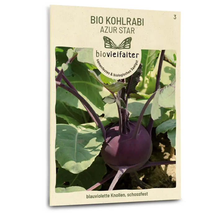 samen-maier-bio-kohlrabi-azur-star-violettes-gem-sesaatgut image 1