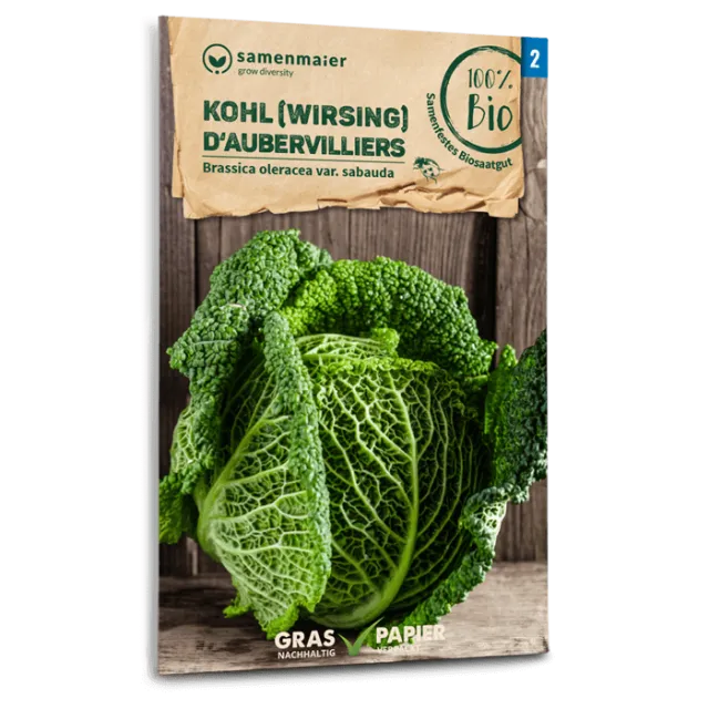 samen-maier-bio-wirsing-d-aubervilliers-kohlsamen image 1