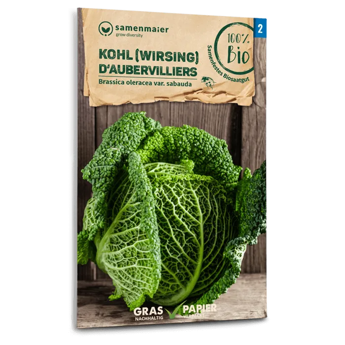 samen-maier-bio-wirsing-d-aubervilliers-kohlsamen image 1