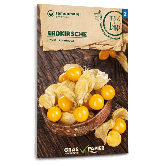 samen-maier-bio-erdkirsche-saatgut-ananas-kirsch-aroma image 1